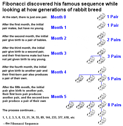 Fibonacci rabbits