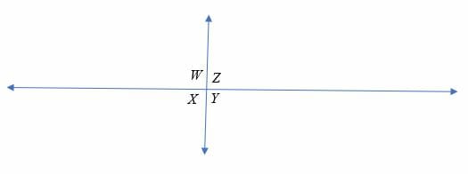 Vertical Angles 4