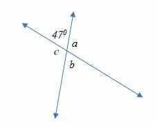 Vertical Angles 5