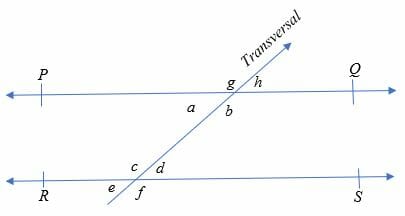 Given L M 1 3 Prove P Q Complete The Missing Parts Given L M 1 3 Prove P Q Complete The Missing Parts