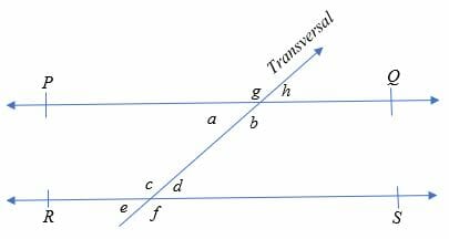 Alternate Interior Angles Explanation Examples