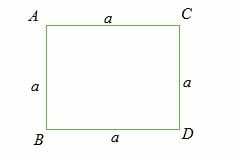 Find the Area of a Square