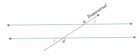 What are Alternate Exterior Angles 1