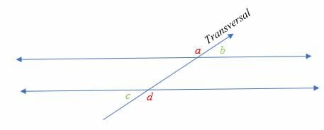 What are Alternate Exterior Angles 1