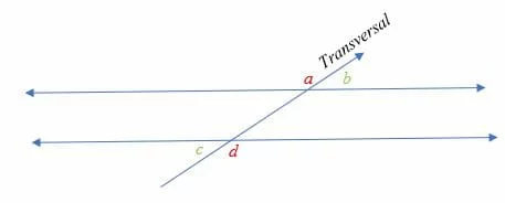 What are Alternate Exterior Angles 1