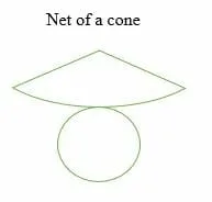 Net of a cone