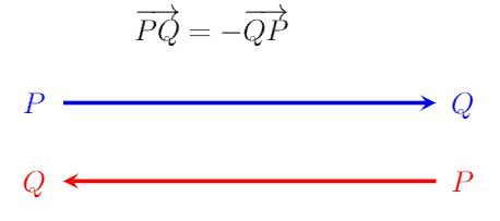 Negative Vectors Explanation Examples