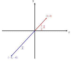 vectors A and ITS scalar multiple