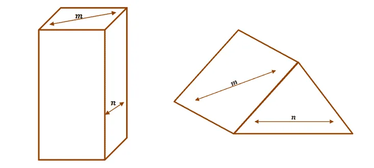 what are skew lines 1