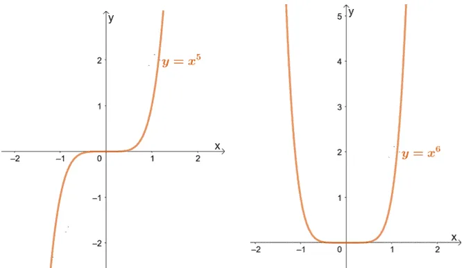 observing the power function when a is a whole number