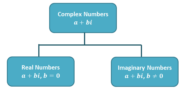 branch of complex numbers