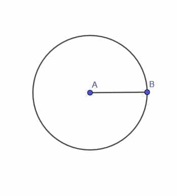 Solution to pp1 locus