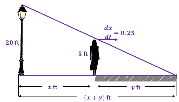 using related rates to solve a problem that involves a lamppost a person and shadow