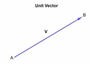 unit vector