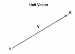 unit vector