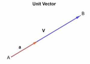 unit vector fig 1