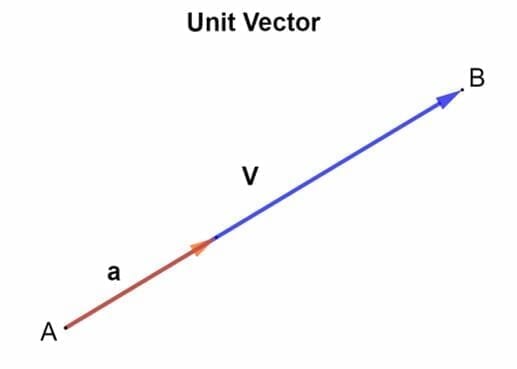 Unit vector - Explanation and Examples