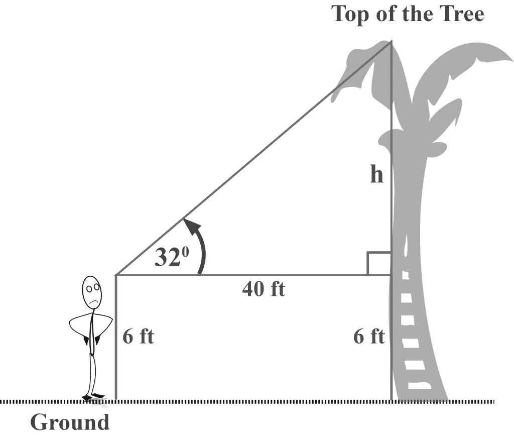 A man observing the angle of elevation as he looks at the top of the tree