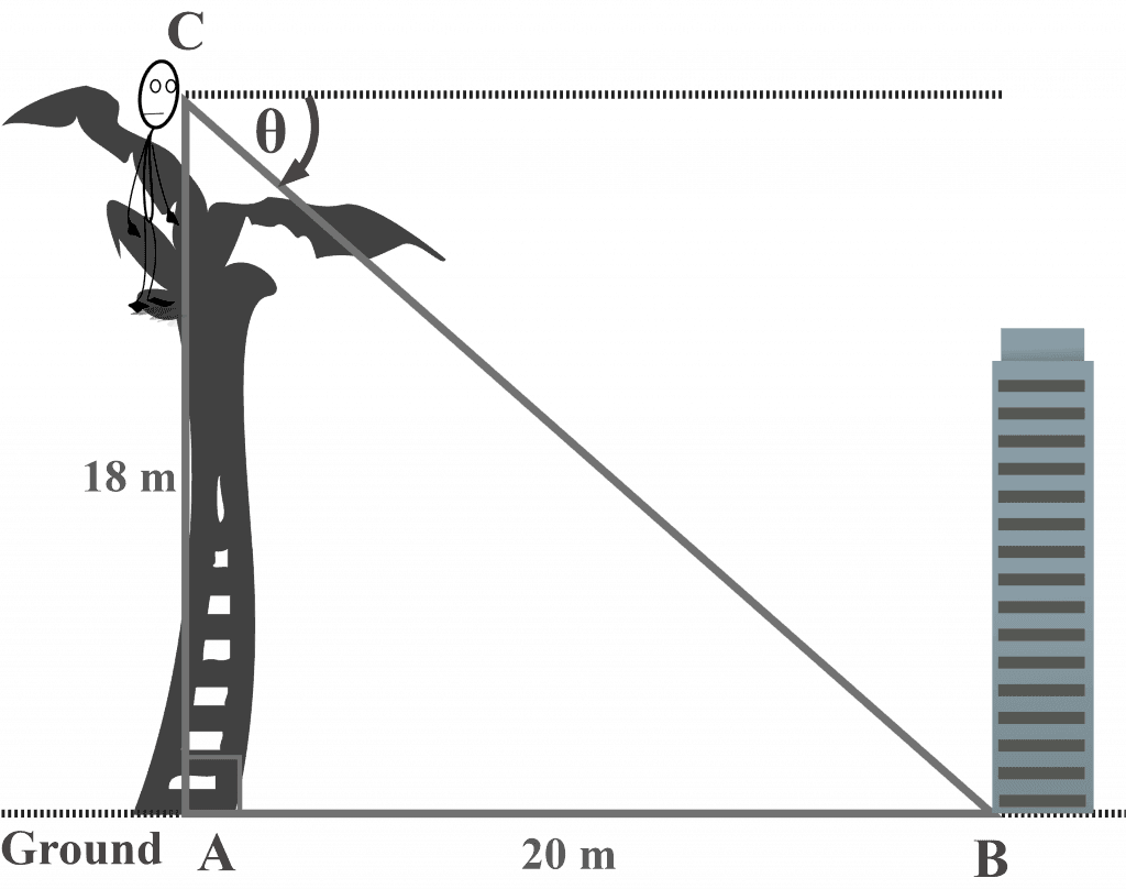 Measuring the angle of depression of a building on the ground from the top of the tree