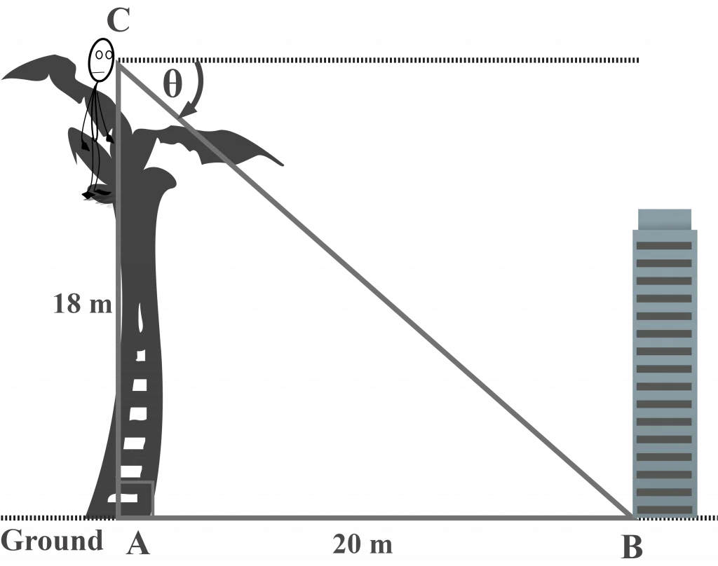 Measuring the angle of depression of a building on the ground from the top of the tree