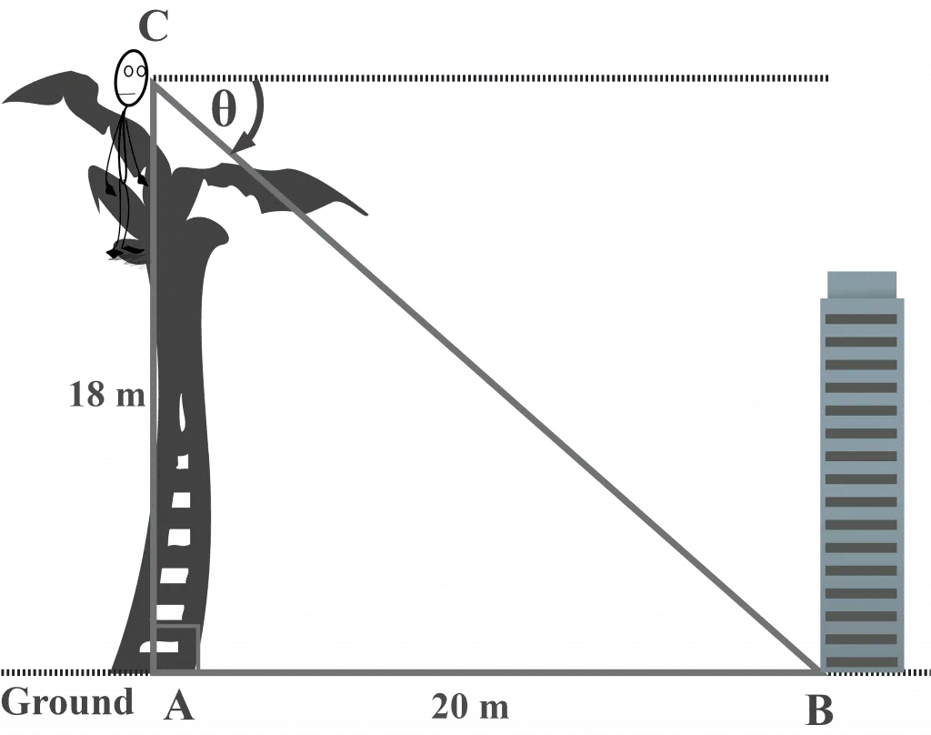 Measuring the angle of depression of a building on the ground from the top of the tree