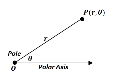 components of a polar plane