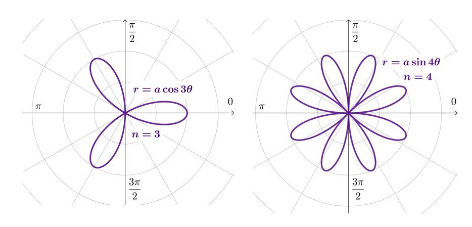 examples of polar curves that are roses