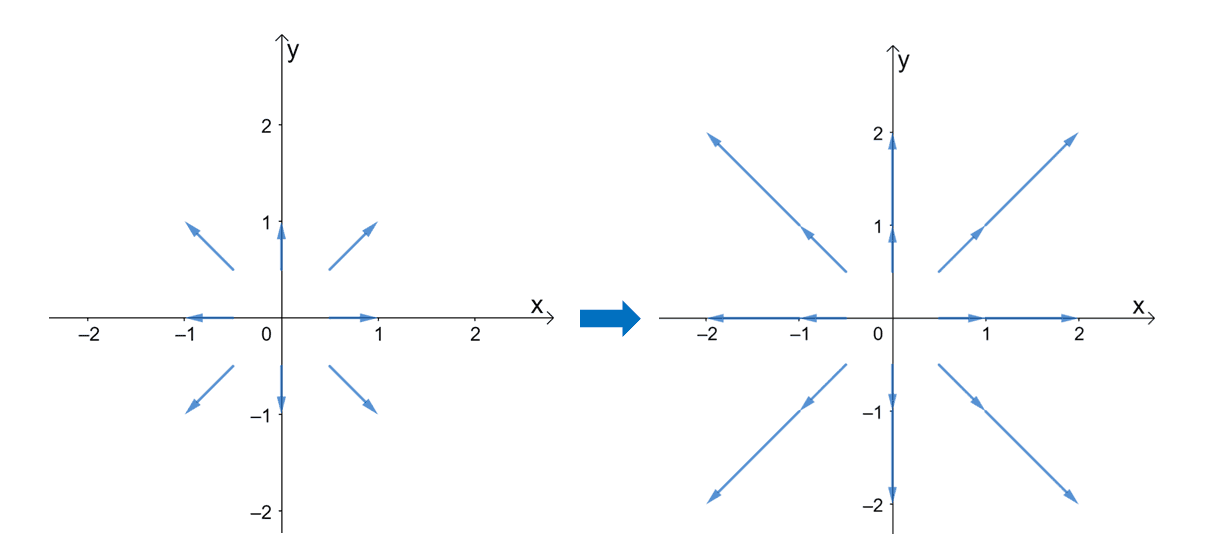 sketching vectors to create the vector field