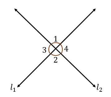 Introduction to Angles 5