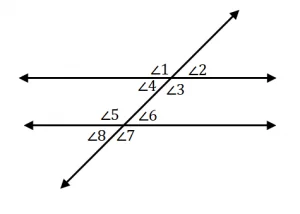 Introduction to Angles 7