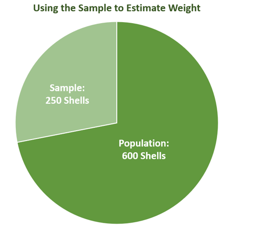using the sample weight to represent the mean weight of the population