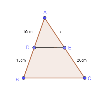 Proportions