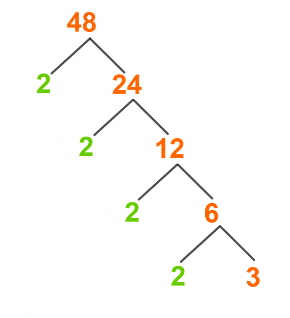 Tree Factor Example at Chelsea Sommerlad blog