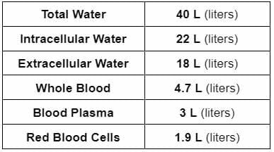 body type example 1 fluids