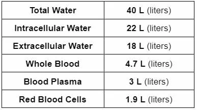 body type example 1 fluids