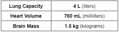 body type example 1 organ properties