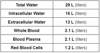 body type example 2 fluids