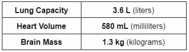 body type example 2 organ properties