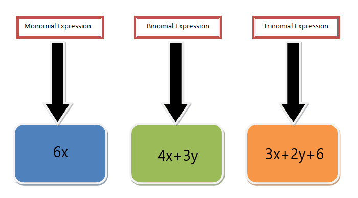 monomial picture