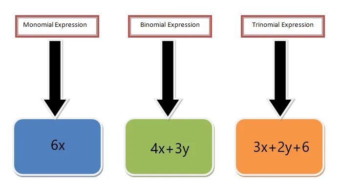 monomial picture