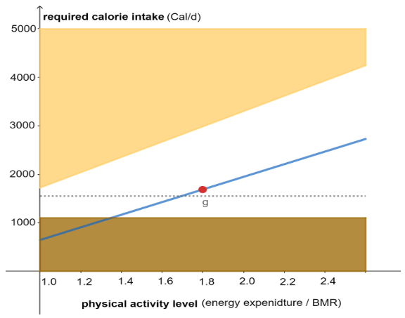 required calorie intake vs physical activity level