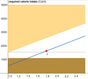 required calorie intake vs physical activity level example2