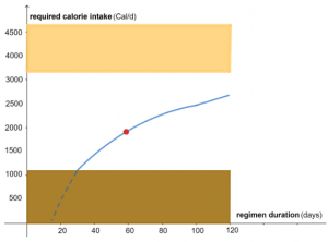 required calorie intake vs regimen duration example2
