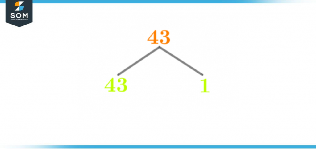 Factor Tree of forty three