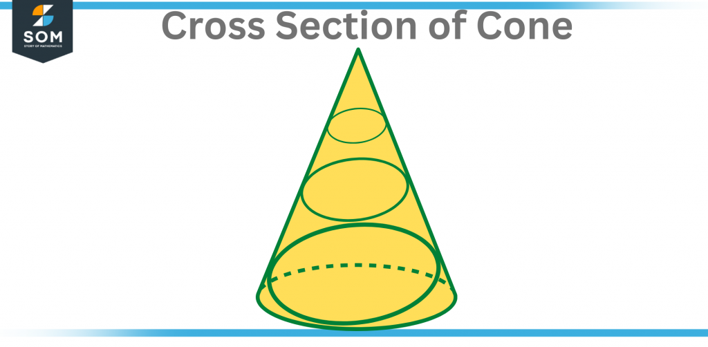 Cross Section of Cone
