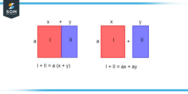 Distributive Law of Multiplication