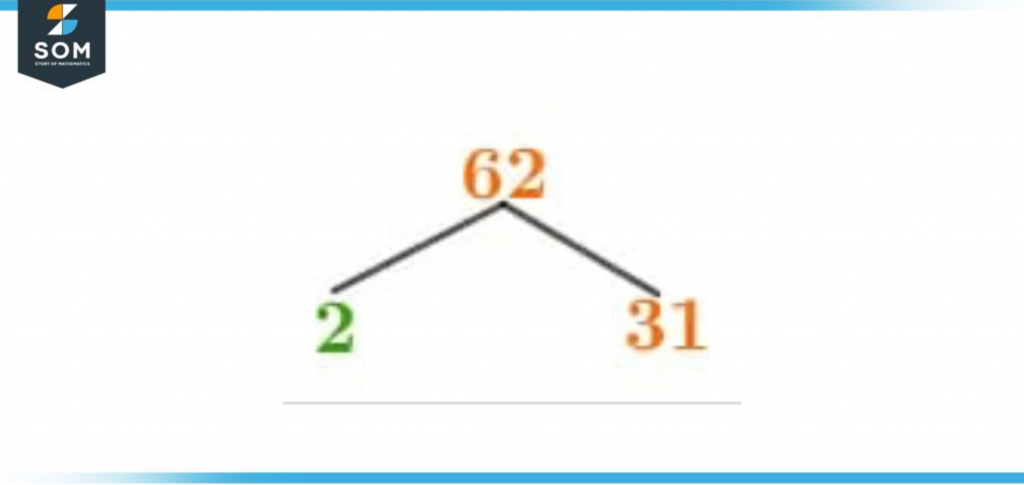 Factor Tree of sixty two