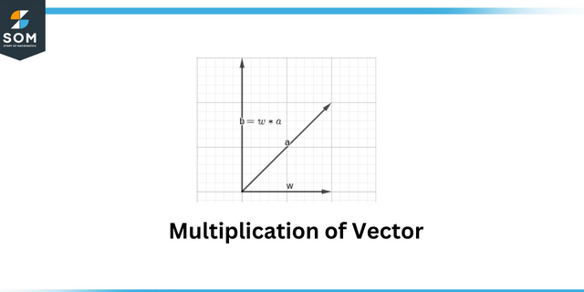 Multiplication of vector