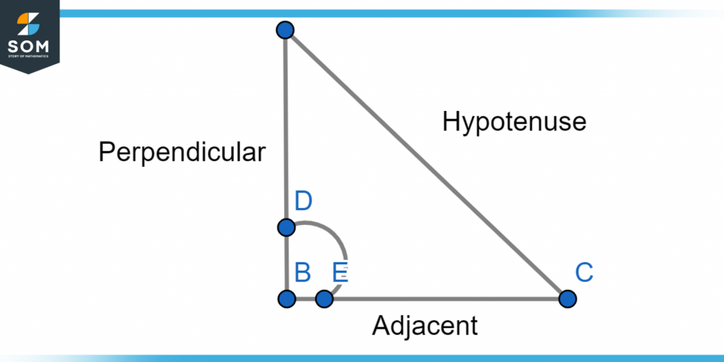 Right angle triangle with angle between perpendicular and adjacent side