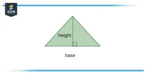 Area of triangle Area of triangle